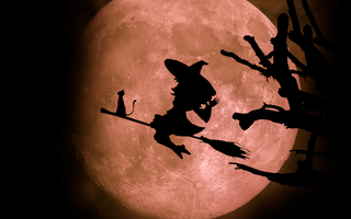 A Guide to Halloween: History, Facts, and Family Fun